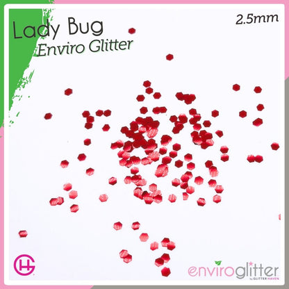 Ladybug 🍃 Enviro Glitter