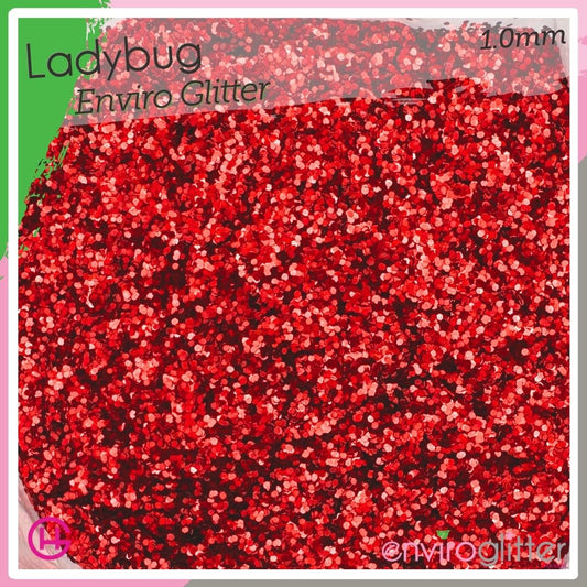Ladybug 🍃 Enviro Glitter