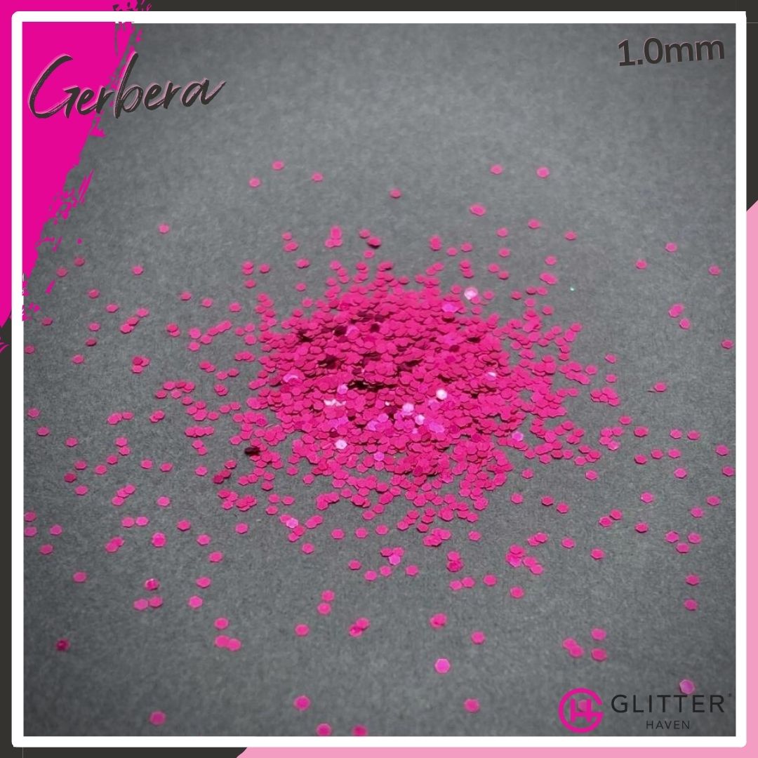 Gerbera