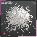 Polished Silver